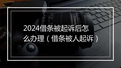 2024借条被起诉后怎么办理（借条被人起诉）