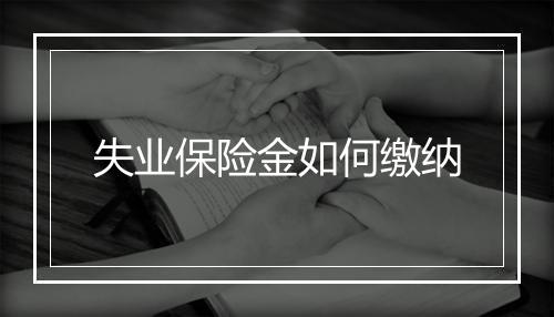 失业保险金如何缴纳