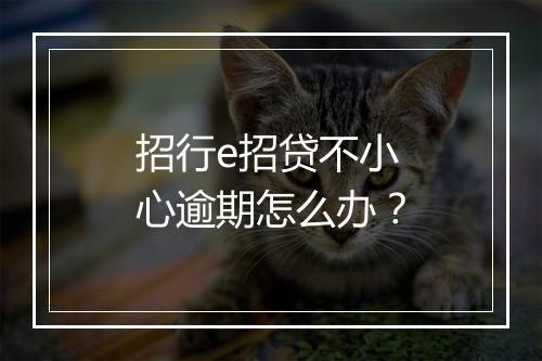 招行e招贷不小心逾期怎么办？