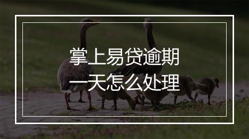 掌上易贷逾期一天怎么处理