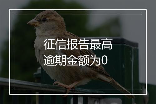 征信报告最高逾期金额为0