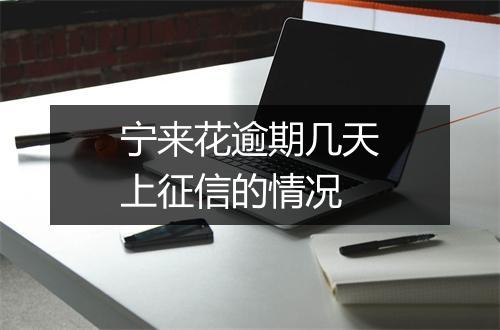 宁来花逾期几天上征信的情况