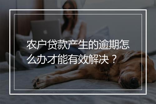 农户贷款产生的逾期怎么办才能有效解决？