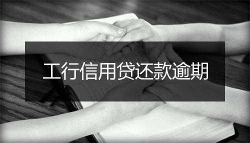 工行信用贷还款逾期