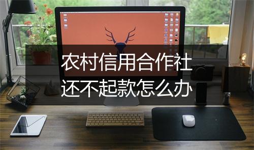 农村信用合作社还不起款怎么办