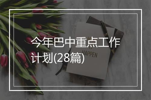 今年巴中重点工作计划(28篇)