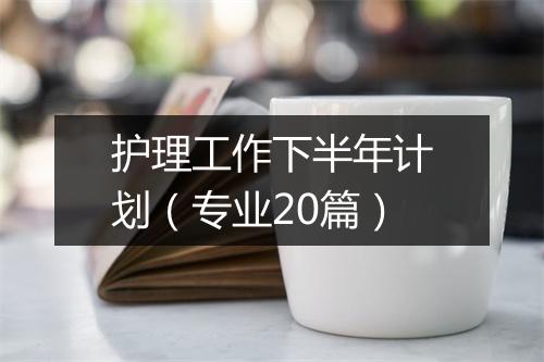 护理工作下半年计划（专业20篇）