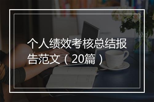 个人绩效考核总结报告范文（20篇）
