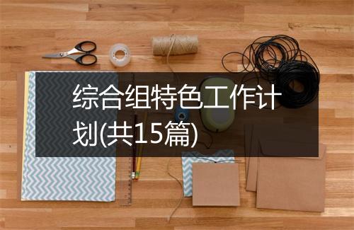 综合组特色工作计划(共15篇)