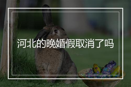 河北的晚婚假取消了吗