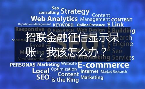 招联金融征信显示呆账，我该怎么办？