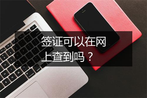 签证可以在网上查到吗？