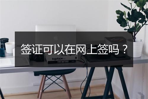 签证可以在网上签吗？