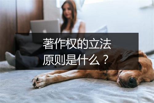 著作权的立法原则是什么？