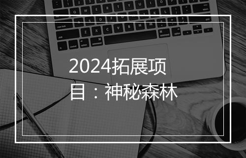 2024拓展项目：神秘森林