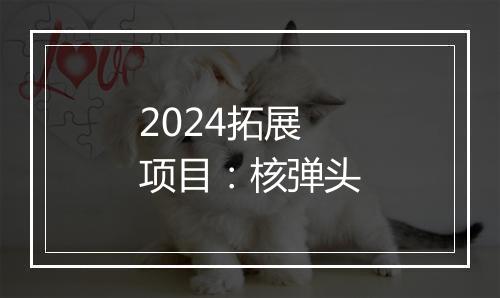 2024拓展项目：核弹头