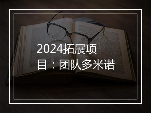 2024拓展项目：团队多米诺