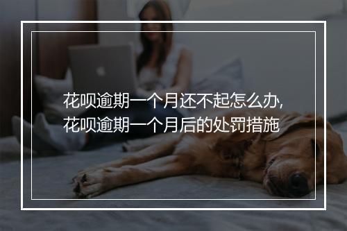 花呗逾期一个月还不起怎么办,花呗逾期一个月后的处罚措施