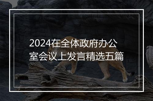 2024在全体政府办公室会议上发言精选五篇