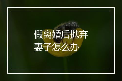 假离婚后抛弃妻子怎么办