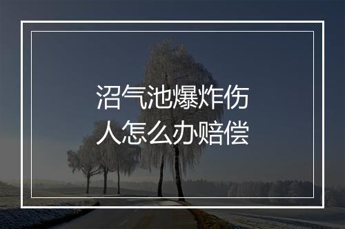 沼气池爆炸伤人怎么办赔偿