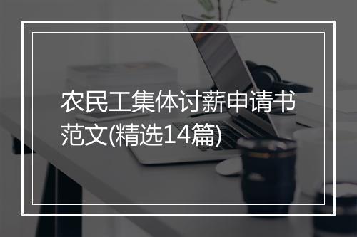 农民工集体讨薪申请书范文(精选14篇)
