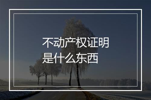 不动产权证明是什么东西