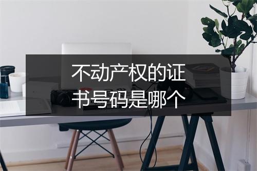 不动产权的证书号码是哪个