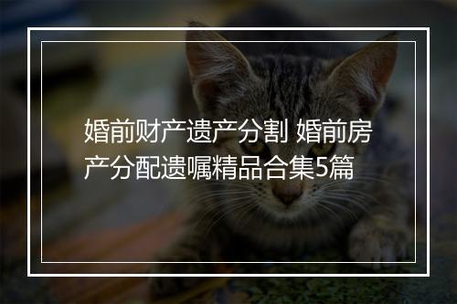 婚前财产遗产分割 婚前房产分配遗嘱精品合集5篇