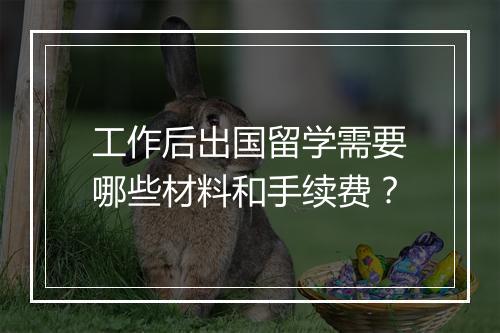 工作后出国留学需要哪些材料和手续费？