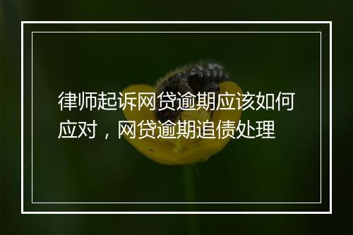 律师起诉网贷逾期应该如何应对，网贷逾期追债处理