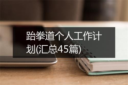 跆拳道个人工作计划(汇总45篇)