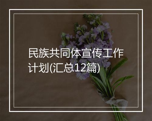 民族共同体宣传工作计划(汇总12篇)