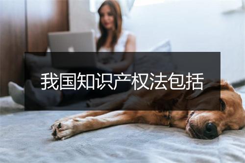 我国知识产权法包括