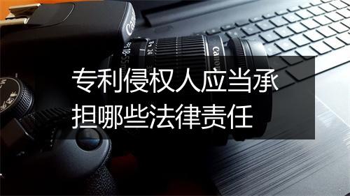 专利侵权人应当承担哪些法律责任