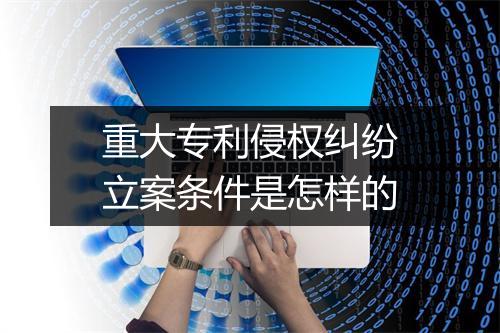 重大专利侵权纠纷立案条件是怎样的