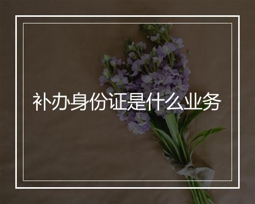 补办身份证是什么业务