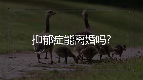 抑郁症能离婚吗?