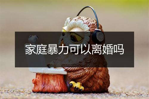 家庭暴力可以离婚吗