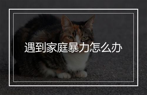 遇到家庭暴力怎么办