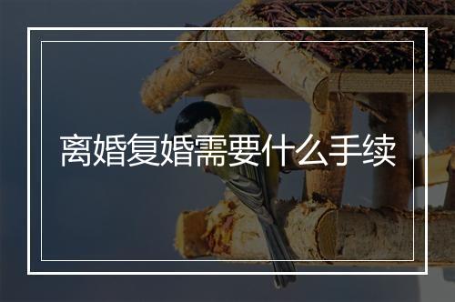 离婚复婚需要什么手续