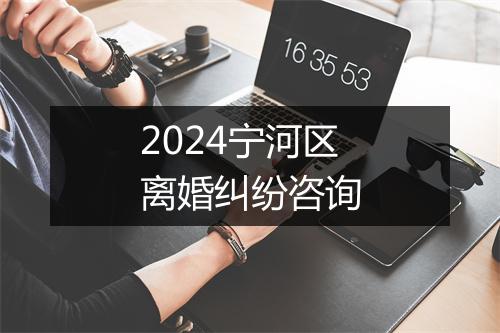 2024宁河区离婚纠纷咨询