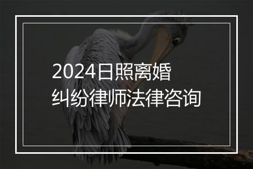 2024日照离婚纠纷律师法律咨询