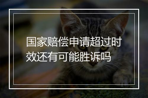 国家赔偿申请超过时效还有可能胜诉吗