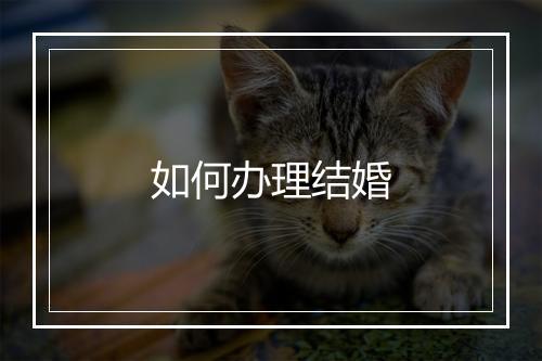 如何办理结婚