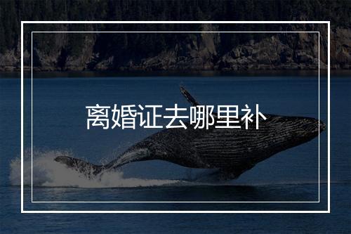 离婚证去哪里补
