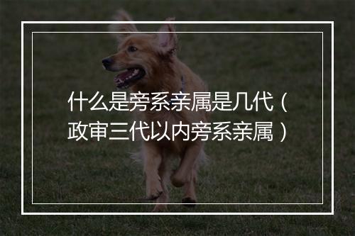什么是旁系亲属是几代（政审三代以内旁系亲属）