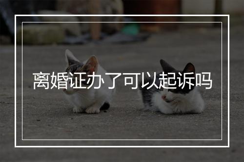 离婚证办了可以起诉吗