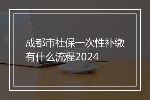 成都市社保一次性补缴有什么流程2024
