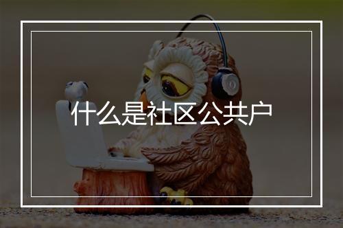 什么是社区公共户